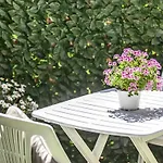 Garden Sant'avendrace *