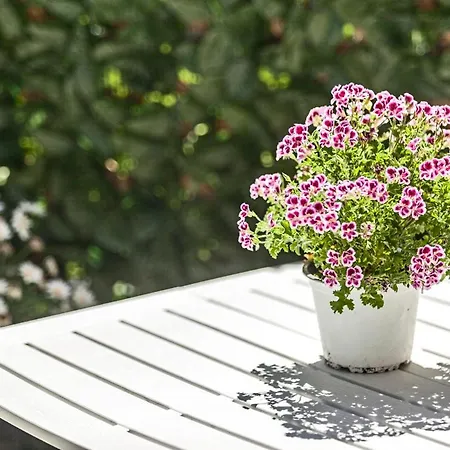 Semesterbostad Garden Sant'avendrace